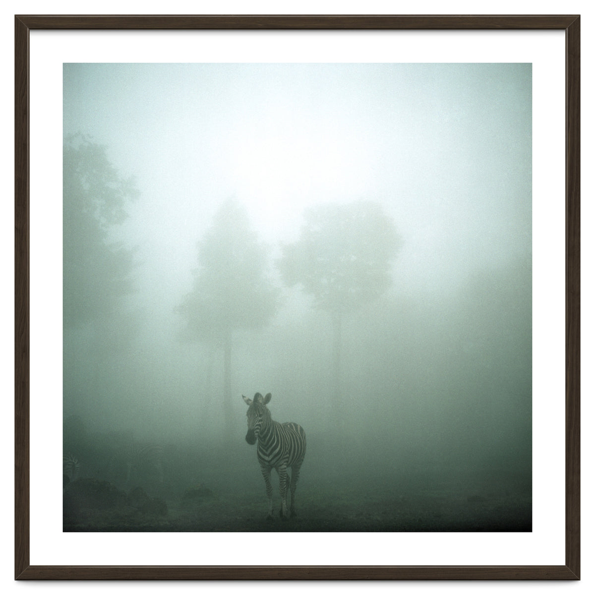 Silence of breath - 01