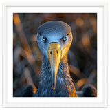 Great Blue Heron Closeup Dramatic Portrait thumbnail