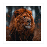 Majestic Lion King Of The Jungle Close Up Portrait (Print Only) thumbnail