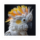 Close Up Of A Cockatoo Parrot With Yellow Crest (Print Only) thumbnail
