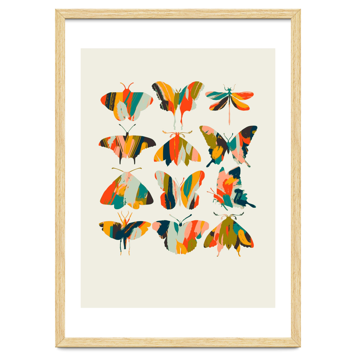 Colorful Butterflies