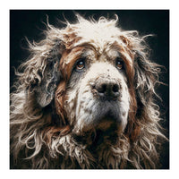 Old Dog 01 (Print Only)