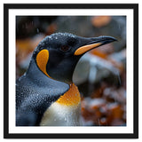 King Penguin In Rain With Water Drops thumbnail