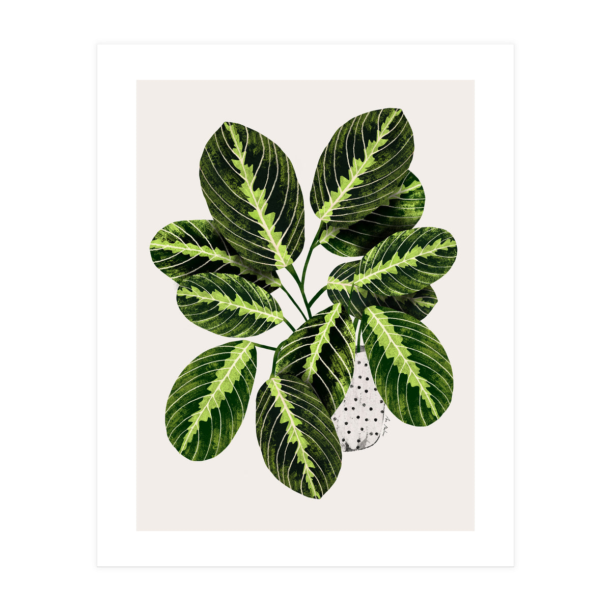 Maranta Plant (Print Only)