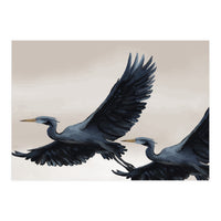 Migrating Herons (Print Only)