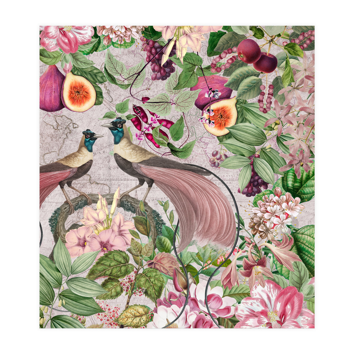 Vintage Birds Of Paradise Jungle  (Print Only)