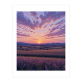Serene Lavender Fields at Golden Hour Sunset (Print Only) thumbnail