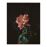 Romantic (Print Only) thumbnail