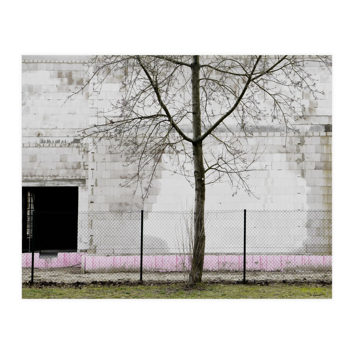 A tree in front of the wall (Print Only)