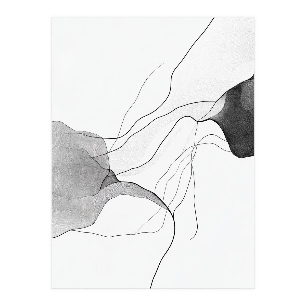 Abstract Black And White Flowing Lines And Shapes On White Background (Print Only)