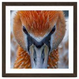 Close Up Of A Pelican's Beak With Water Droplets thumbnail