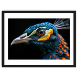 Close Up Of A Peacock Bird Head Eye thumbnail