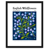 English Wildflowers | Forget-Me-Not thumbnail