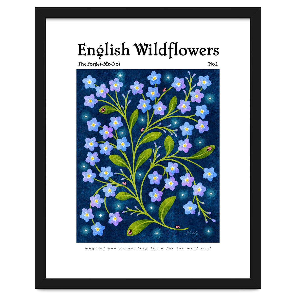 English Wildflowers | Forget-Me-Not