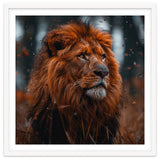Majestic Lion King Of The Jungle Close Up Portrait thumbnail