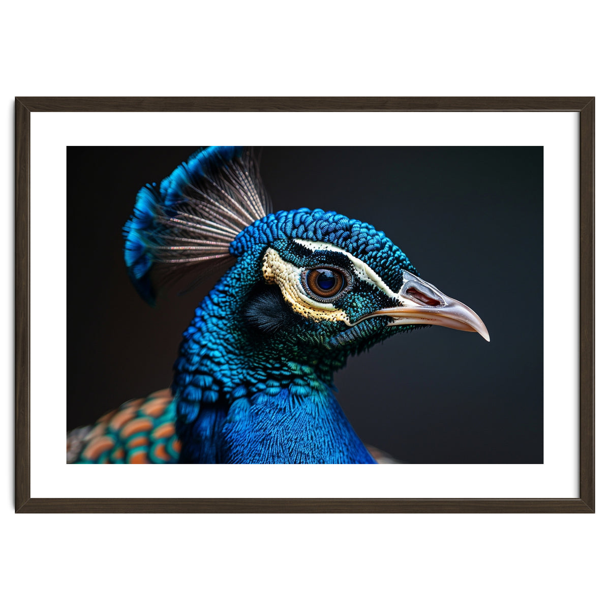 Close Up Peacock Head Blue Green Feather