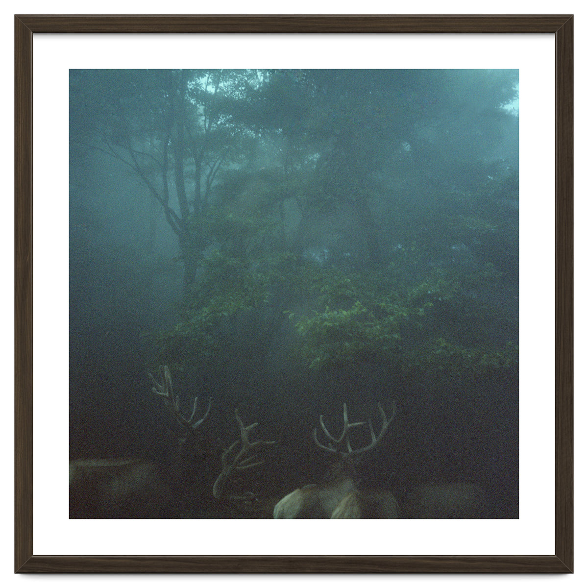 Silence of breath - 12