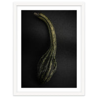 Gourds No 9 Color Version