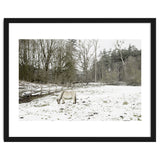 White horse in the snow field thumbnail