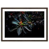 Orange, Green and Dark thumbnail