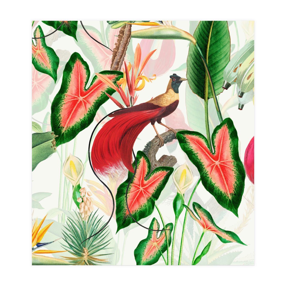 Vintage Bird Of Paradise in Jungle (Print Only)