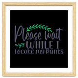 Please Wait While I Locate My Pants thumbnail
