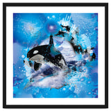 Orca thumbnail