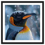 King Penguin Close Up In Snowy Environment thumbnail