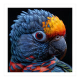 Close Up Vibrant Parrot Eye  (Print Only) thumbnail