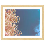 Leaves And Sky thumbnail