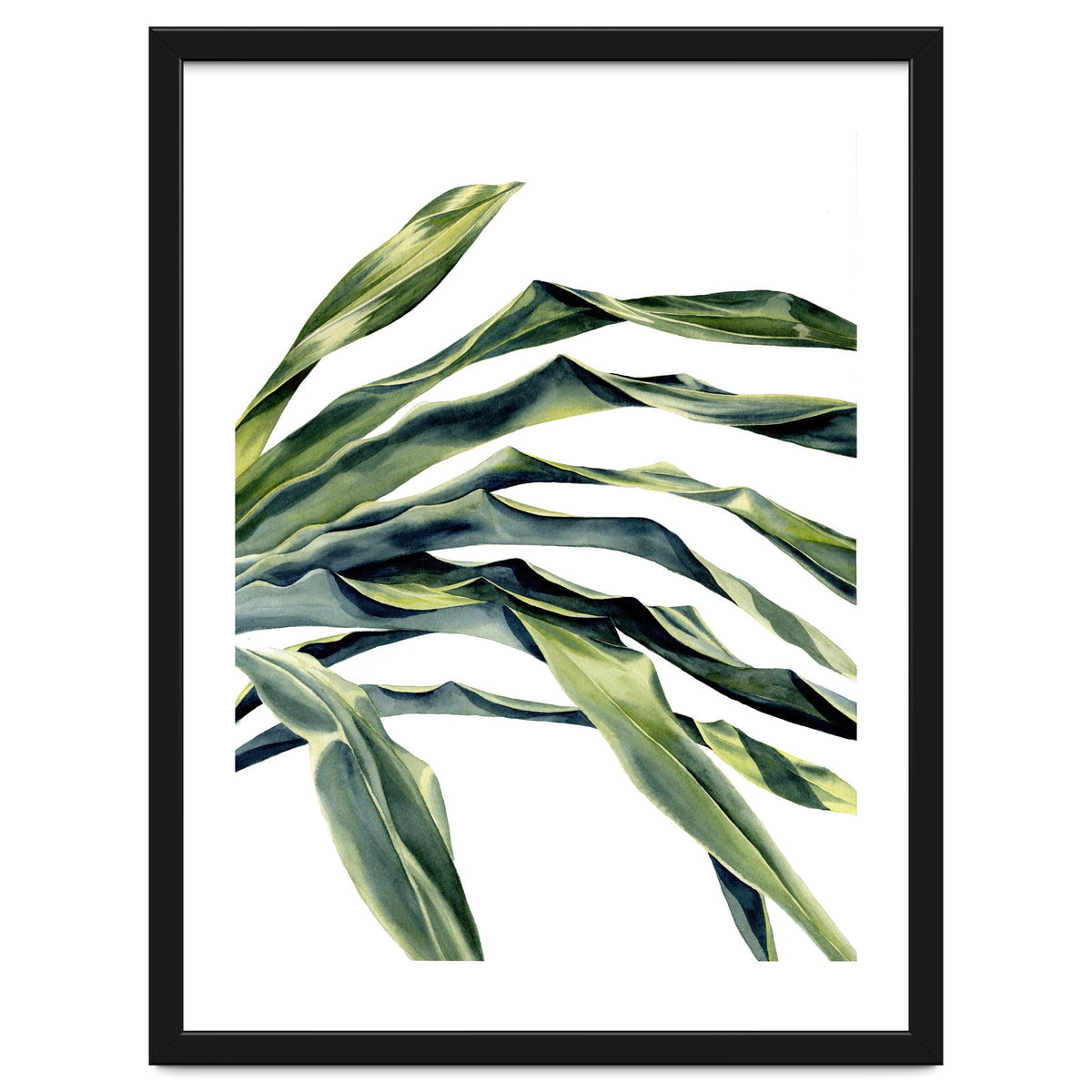 Green Palm Leaves