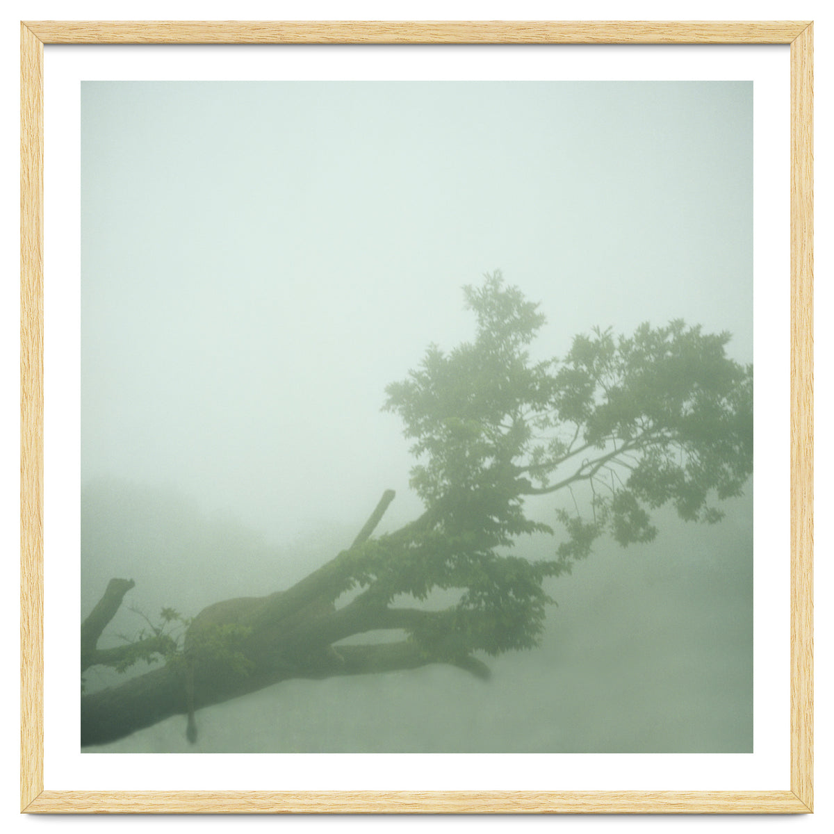 Silence of breath - 07