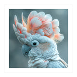 Close Up Of A White Cockatoo With Pink Crest (Print Only) thumbnail