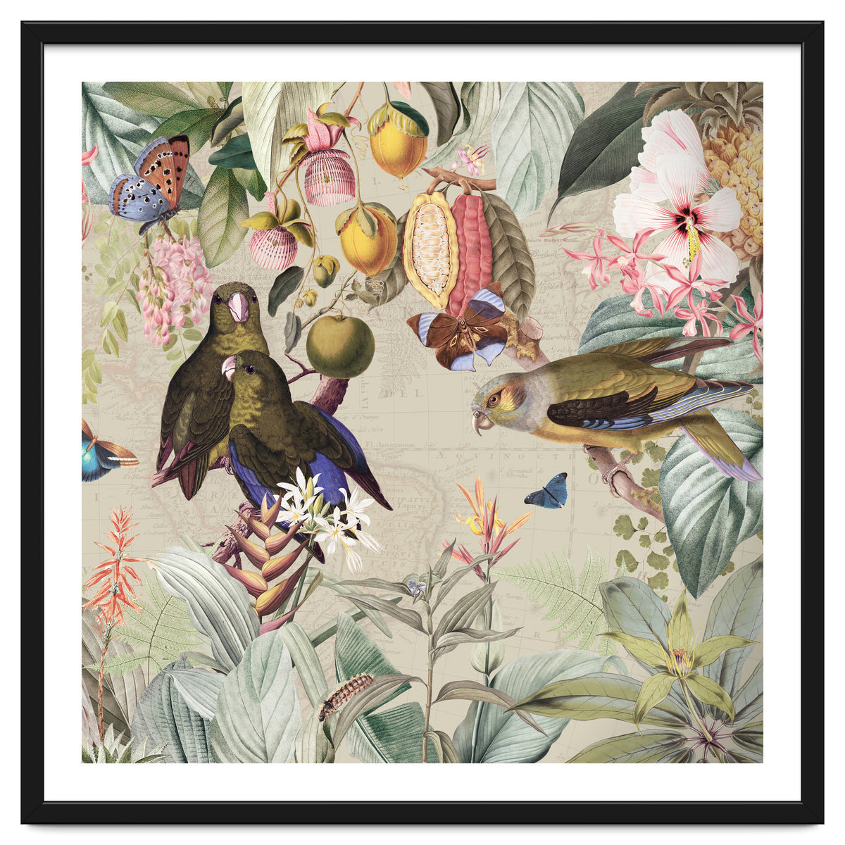 Colorful Parrots And Butterflies In Flower And Fruit Tropical Jungle