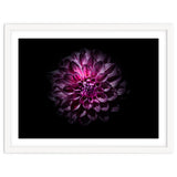 Backyard Flowers No 57 Color Version thumbnail