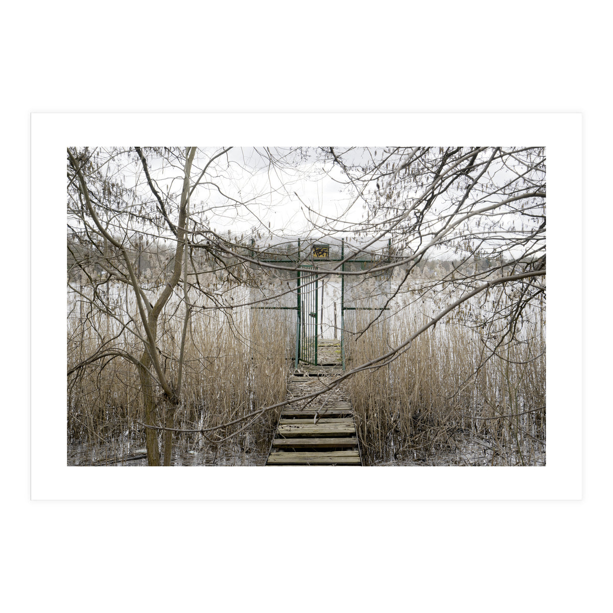 The gate to the lake (Print Only)