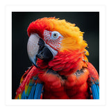 Scarlet Macaw Parrot Portrait Vivid Colors (Print Only) thumbnail