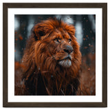 Majestic Lion King Of The Jungle Close Up Portrait thumbnail