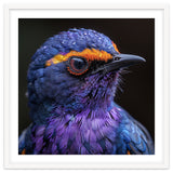 Close Up Portrait Of A Vibrant Exotic Bird thumbnail
