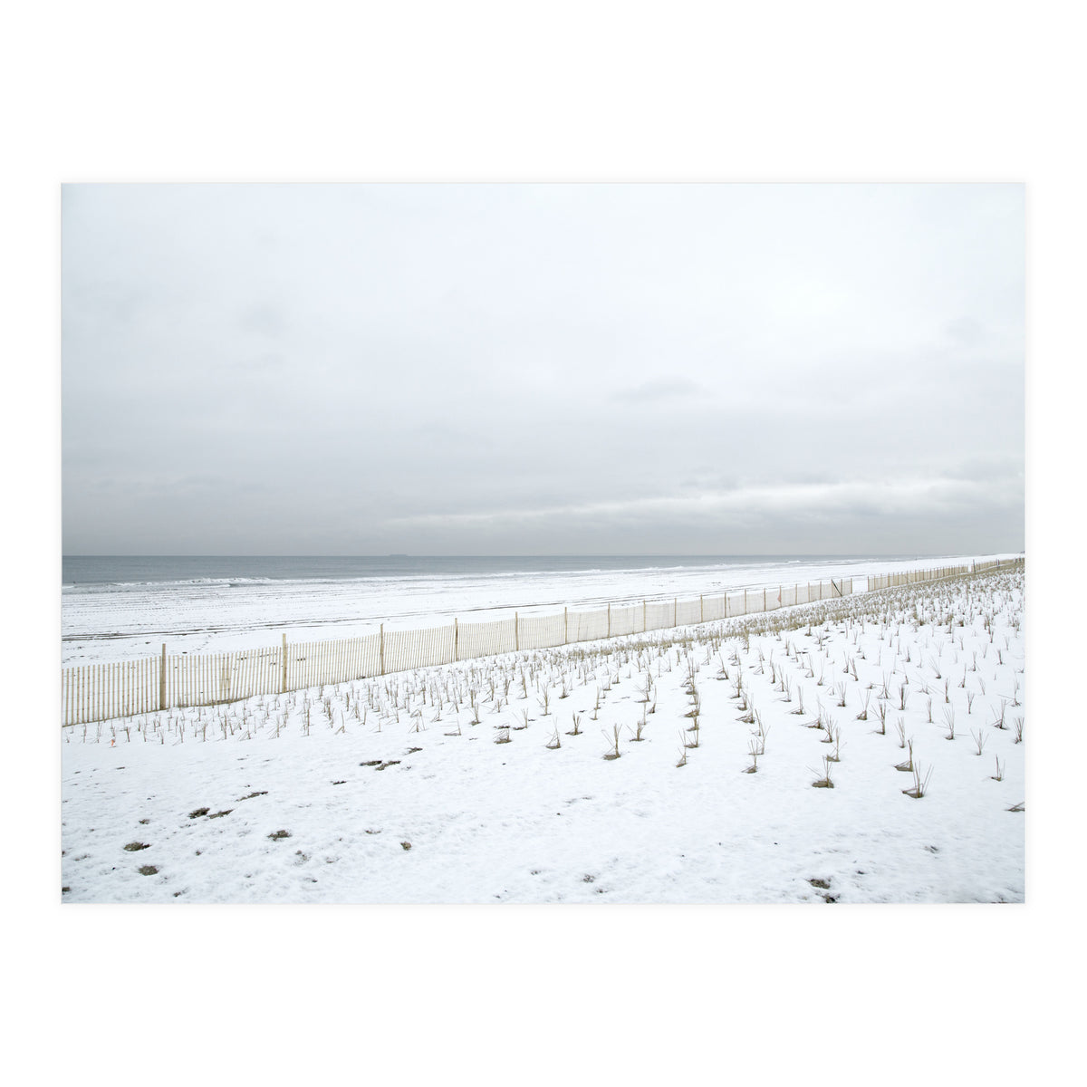 Winter grass in snow beach (Print Only)