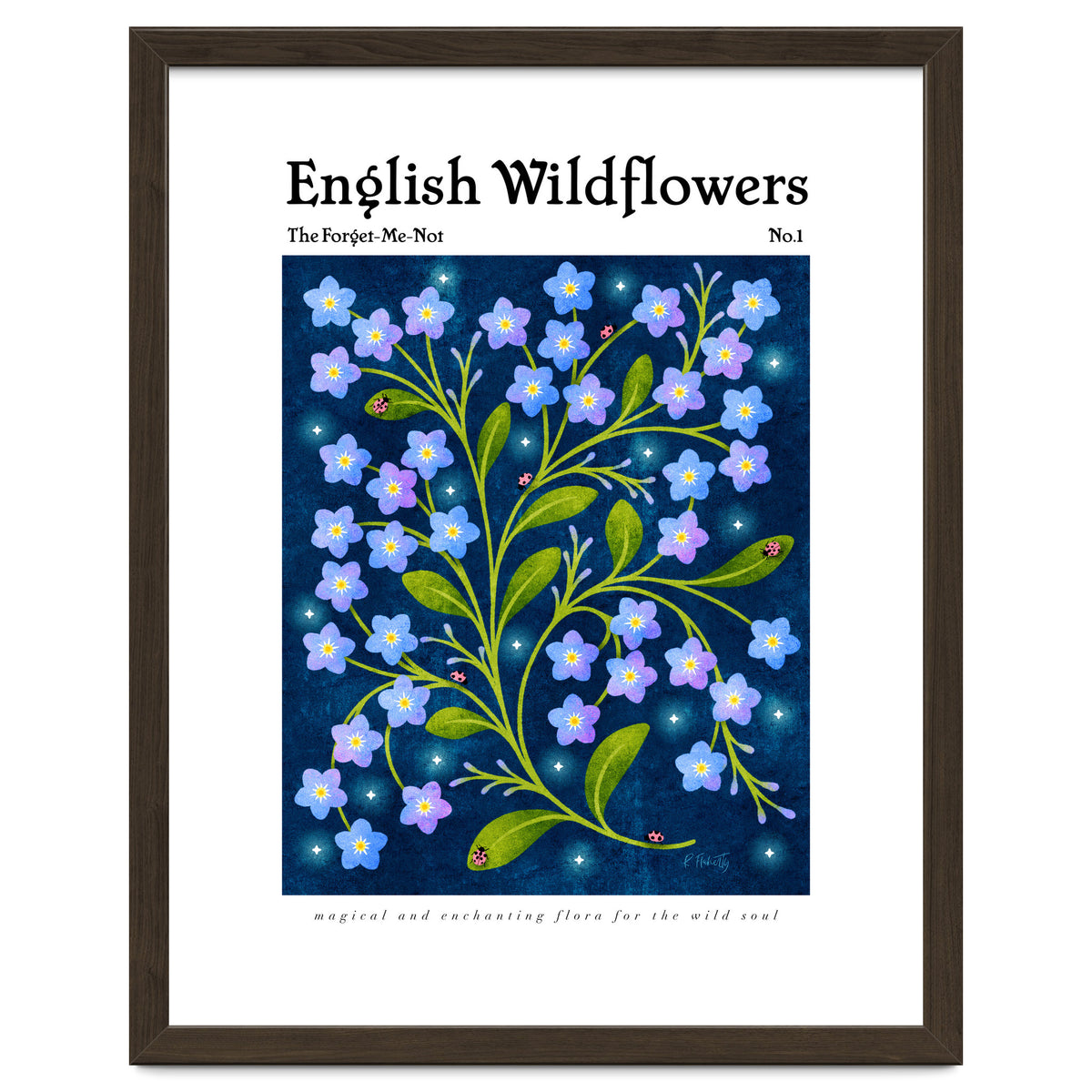 English Wildflowers | Forget-Me-Not