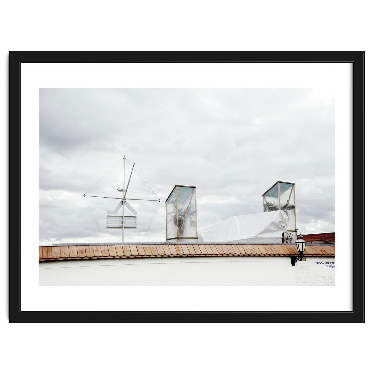 Palm tree waiting for summer