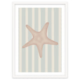 Starfish thumbnail