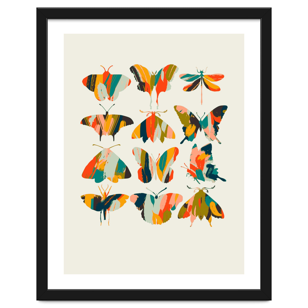 Colorful Butterflies