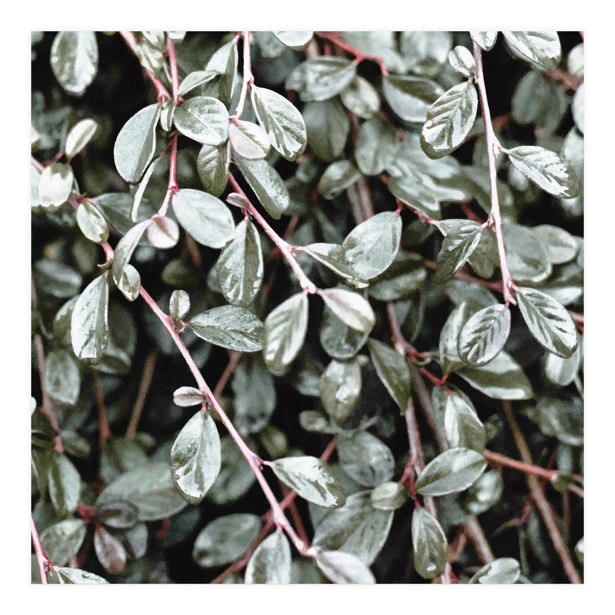 Rain #society6 #decor #buyart (Print Only)