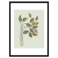 Olivia muted botanical oils