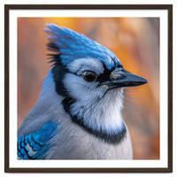 Blue Jay Bird Close Up Detailed Portrait
