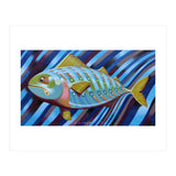 Blue fish (Print Only) thumbnail
