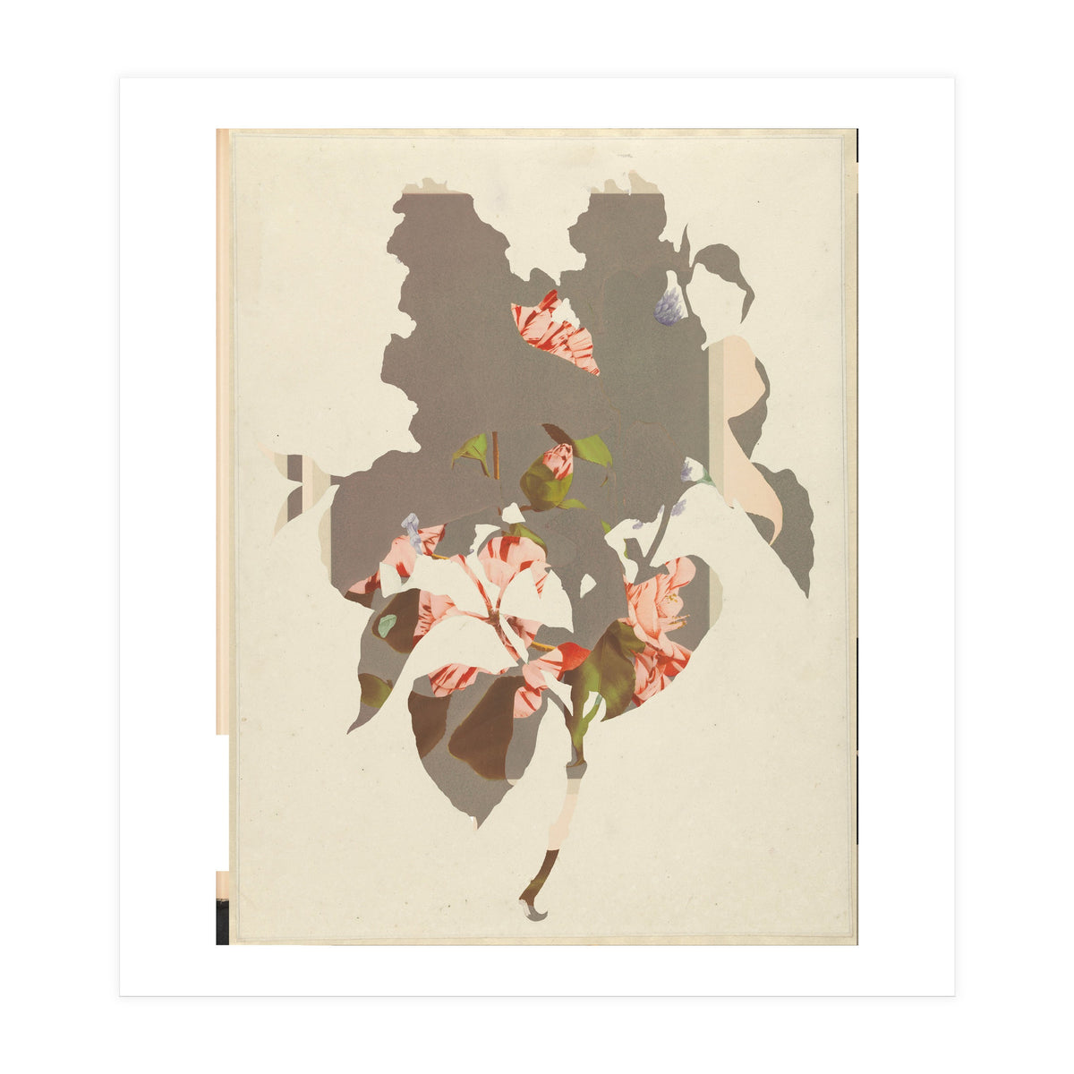 The First Plant · M2 (Print Only)