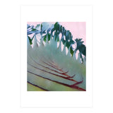 Palm Springs (Print Only) thumbnail